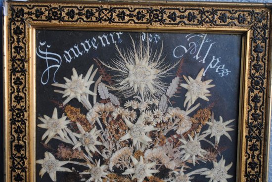 Souvenir Des Alpes Composition De Fleurs Séchées Fin XIXème