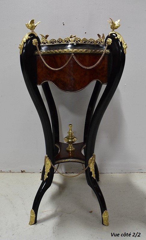 Planter in Thuja burl veneer and blackened wood, Napoleon III period - 19th century