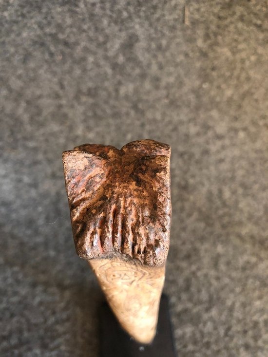 Os Gravé D’océanie, Fin XIXe Siècle