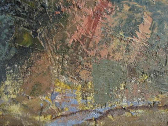 Onde di colori