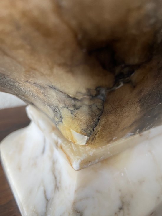 Busto di giovane donna