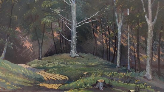 Foresta ungherese 1955
