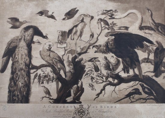 Gravure XVIIIe Siècle, « A Concert Of Birds ».