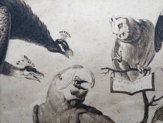 Gravure XVIIIe Siècle, « A Concert Of Birds ».