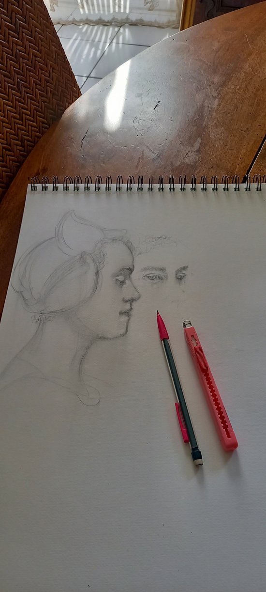 Graphite drawing after Edgar Maxence "The flowers of the lake"