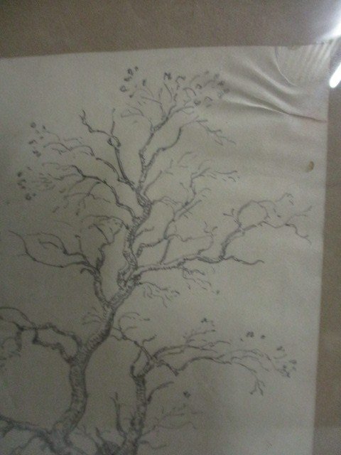 Disegno di Armand Point.