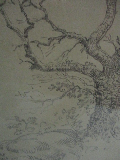 Disegno di Armand Point.