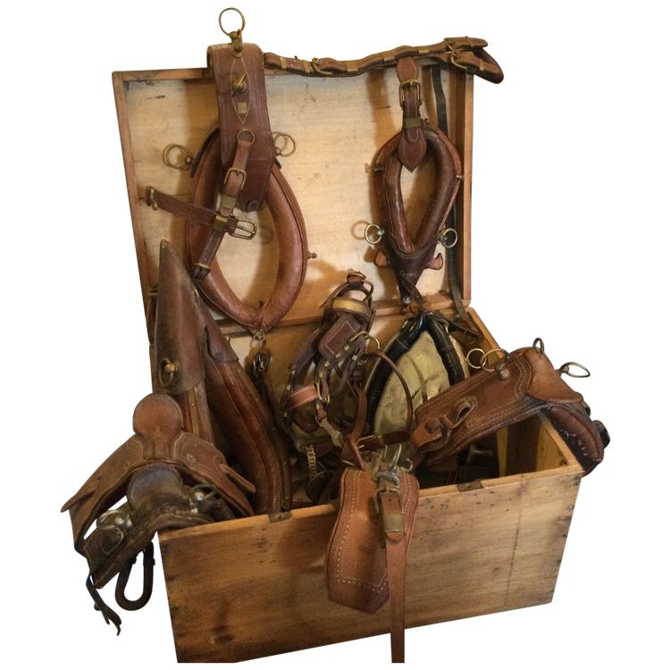Caisse de maîtrises de bourrelier 