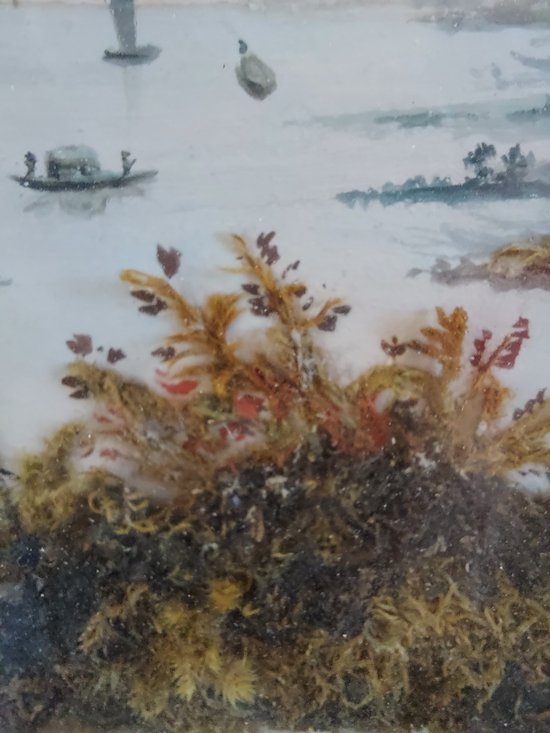 View of the islet on Lescaut 1808