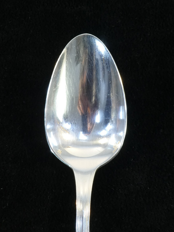 12 large spoons CHRISTOFLE model SPATOURS