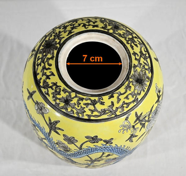 Vaso con Due Draghi, Porcellana Cinese, Dinastia Qing - XIX Secolo