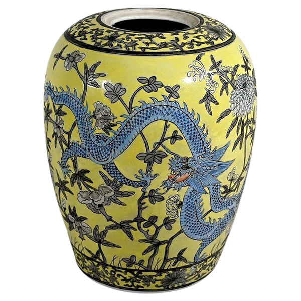 Vase aux Deux Dragons, en Porcelaine de Chine, Dynastie Qing – XIXe