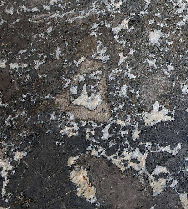 Tomba Piccola Comò in Legno Pregiato, transizione Luigi XIV / Luigi XV – XVIII secolo