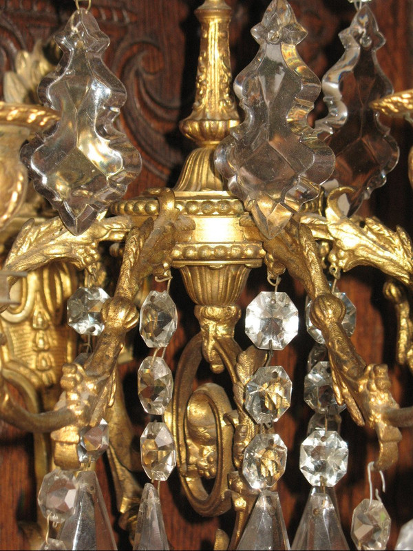 Coppia di appliques in ormù a 6 luci in stile Luigi XVI del XIX secolo