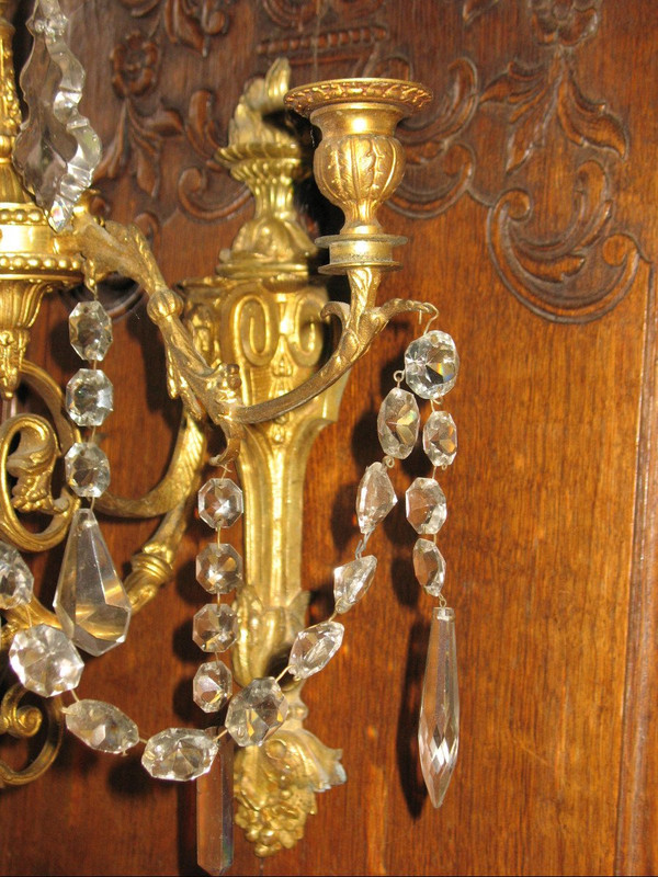 Coppia di appliques in ormù a 6 luci in stile Luigi XVI del XIX secolo