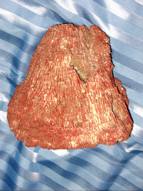 Große rote Koralle Tubipora Musica 2,5 kg