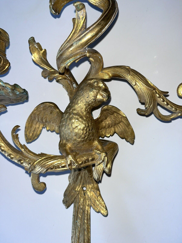 C.Cressent (1685-1768) o Maison BAGUES. Lampada da parete con pappagallo in bronzo dorato