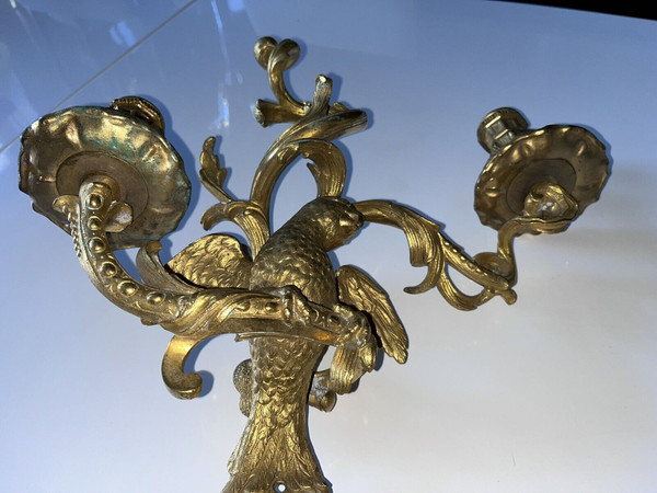 C.Cressent (1685-1768) o Maison BAGUES. Lampada da parete con pappagallo in bronzo dorato