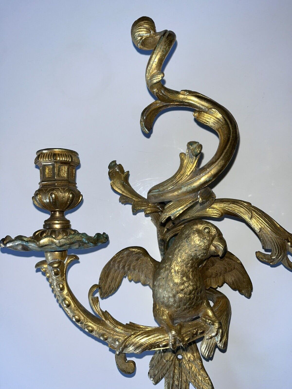 C.Cressent (1685-1768) o Maison BAGUES. Lampada da parete con pappagallo in bronzo dorato