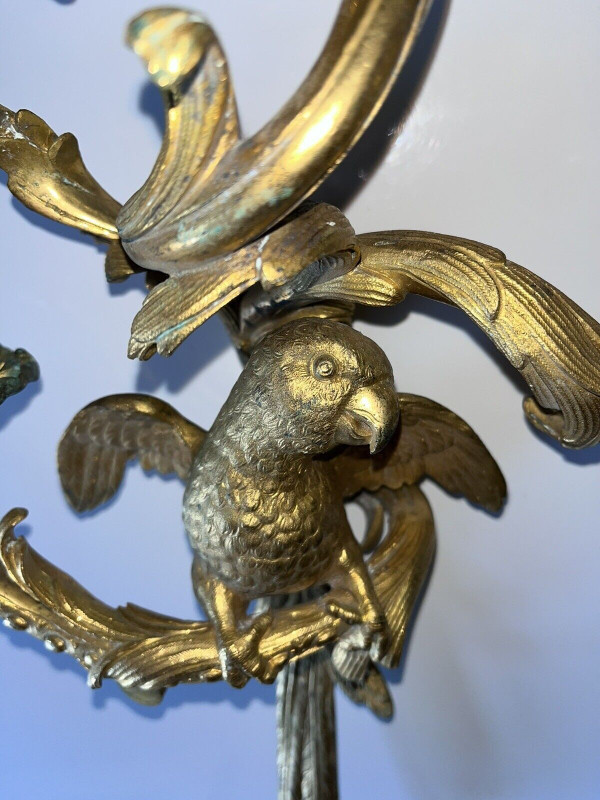C.Cressent (1685-1768) o Maison BAGUES. Lampada da parete con pappagallo in bronzo dorato