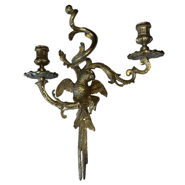 C.Cressent (1685-1768) o Maison BAGUES. Lampada da parete con pappagallo in bronzo dorato