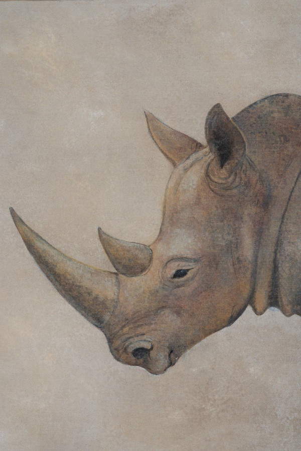 Gemalte Leinwand, Rhinozeros, Zeitgenössische Arbeit, LS56421351A