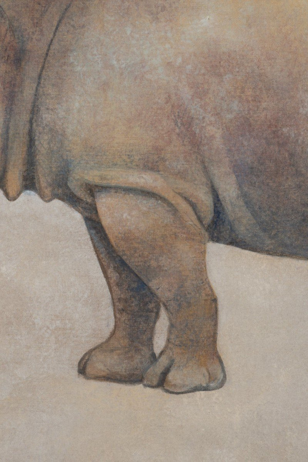 Gemalte Leinwand, Rhinozeros, Zeitgenössische Arbeit, LS56421351A