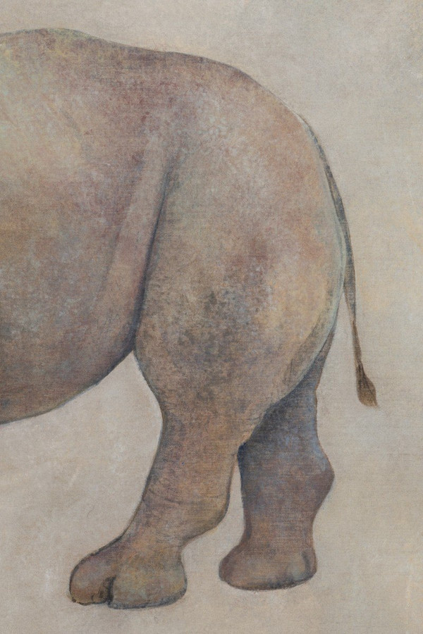 Gemalte Leinwand, Rhinozeros, Zeitgenössische Arbeit, LS56421351A