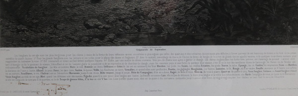 Venerie, L.G.JADIN, Hallali De Sanglier, Lithographie, 1858.