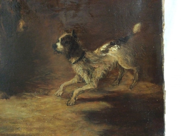 Cani . Cartello. L. POLYNE