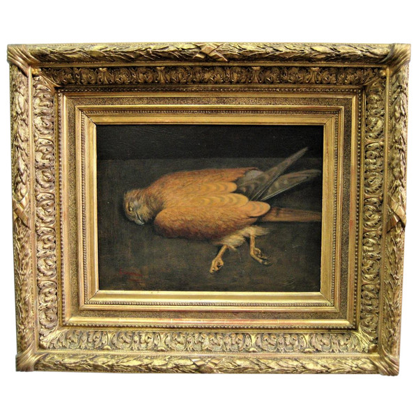 Natura Morta Con Rapace, Olio Su Tavola, Scuola Francese Del Novecento