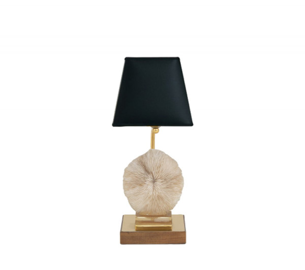 Lampe Corail Fungia Fungites Et Laiton Doré, Années 1970 - Ls382481