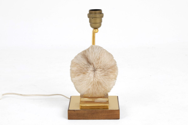 Lampe Corail Fungia Fungites Et Laiton Doré, Années 1970 - Ls382481