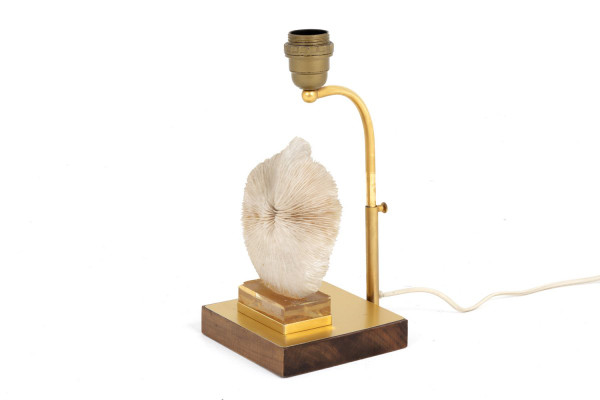 Lampe Corail Fungia Fungites Et Laiton Doré, Années 1970 - Ls382481