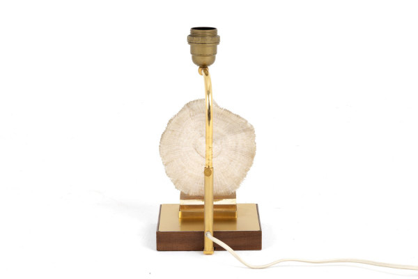 Lampe Corail Fungia Fungites Et Laiton Doré, Années 1970 - Ls382481