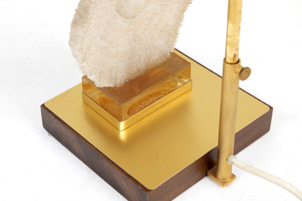 Lampe Corail Fungia Fungites Et Laiton Doré, Années 1970 - Ls382481