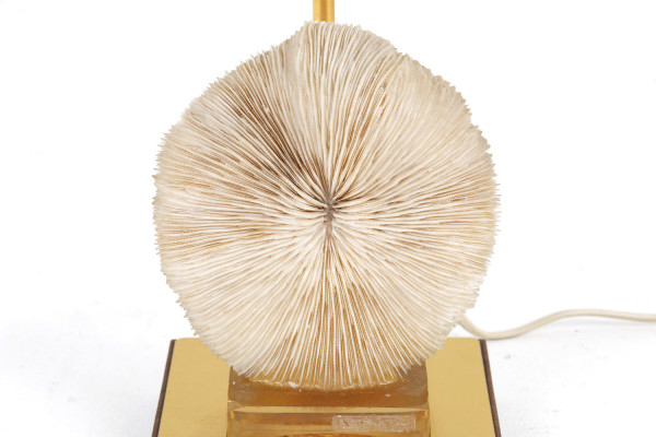 Lampe Corail Fungia Fungites Et Laiton Doré, Années 1970 - Ls382481