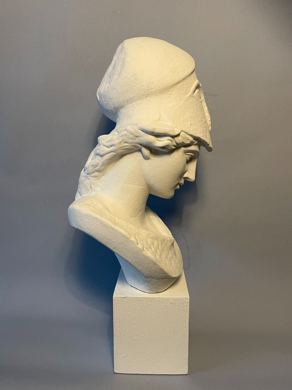 Bust of Athena in plaster called "Pallas de Velletri" H 55cm (Minerva)