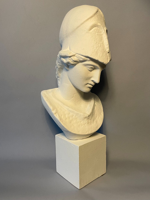 Bust of Athena in plaster called "Pallas de Velletri" H 55cm (Minerva)