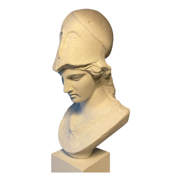 Bust of Athena in plaster called "Pallas de Velletri" H 55cm (Minerva)
