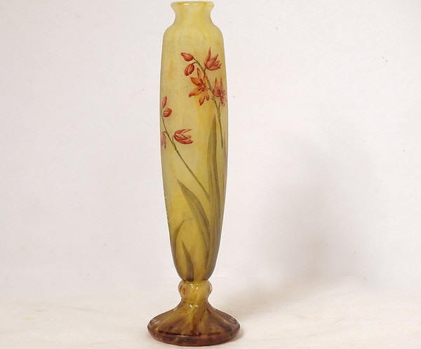 Vase Piedouche Pâte de Verre Daum Nancy Fleurs Lys Lis Art Nouveau 19th century