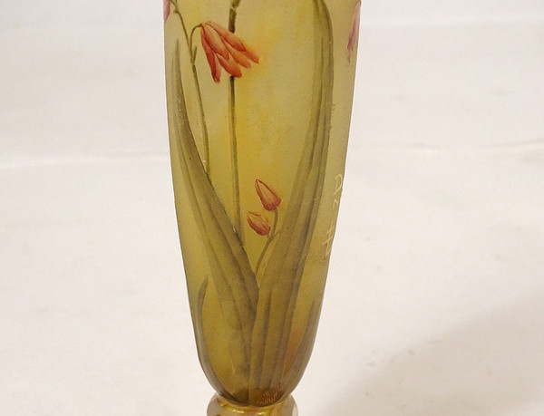 Vase Piedouche Pâte de Verre Daum Nancy Fleurs Lys Lis Art Nouveau 19th century