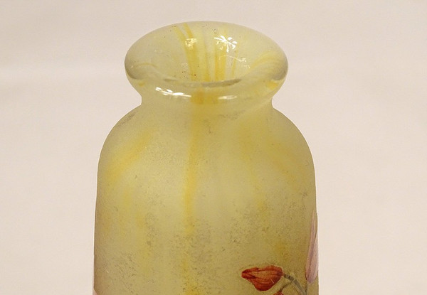 Vase Piedouche Pâte de Verre Daum Nancy Fleurs Lys Lis Art Nouveau 19th century