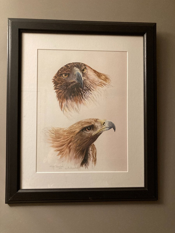 Aquarelle à deux têtes d'aigles royals signées Philippe Varnardois