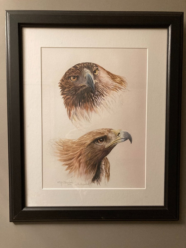 Aquarelle à deux têtes d'aigles royals signées Philippe Varnardois