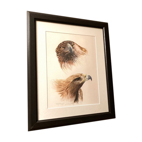 Aquarelle à deux têtes d'aigles royals signées Philippe Varnardois