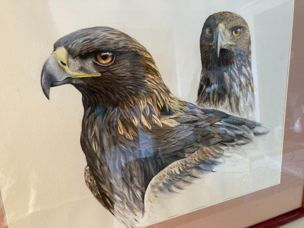 Aquarelle à Deux Têtes d'Aigles Royals Signées Philippe Varnardois