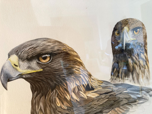 Aquarelle à Deux Têtes d'Aigles Royals Signées Philippe Varnardois
