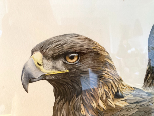 Aquarelle à Deux Têtes d'Aigles Royals Signées Philippe Varnardois