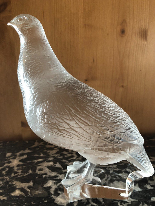 Partridge